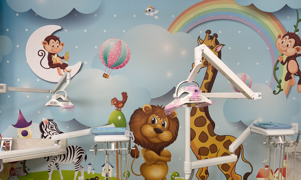 Braces children no fear no pain dentistry fun dental 4 kids dentist childrens dental world magicland magic land fun zone funzone