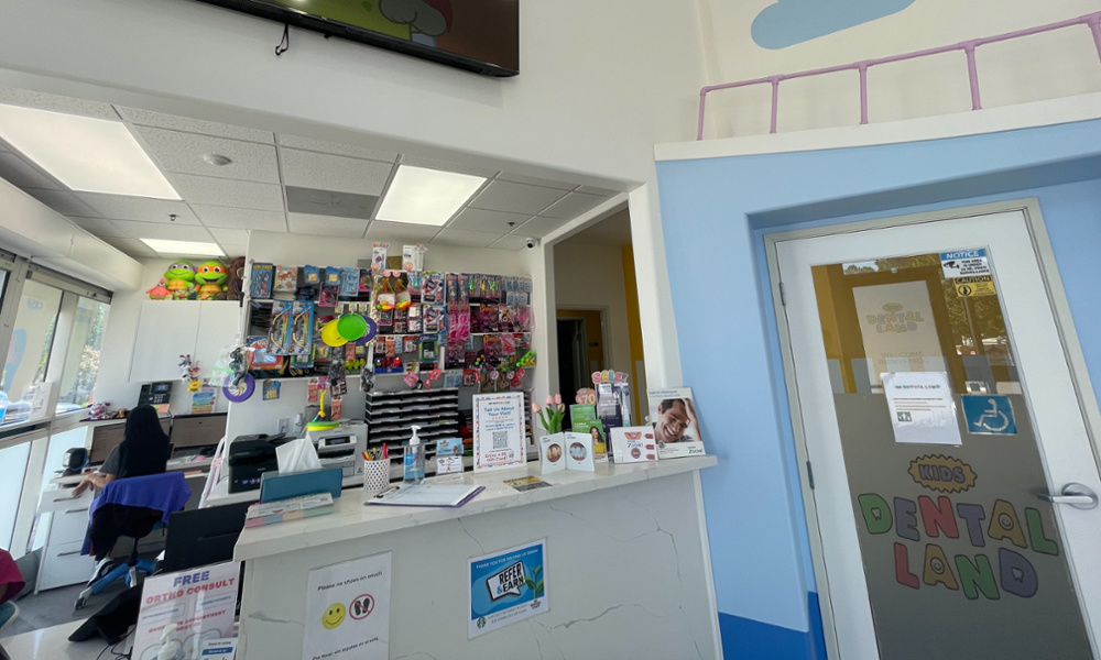All patients receive a toy after the appointment. Kids love this dentist.