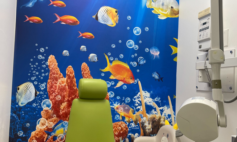 no pain dentistry fun dental 4 kids dentist childrens dental world magicland magic land fun zone funzone